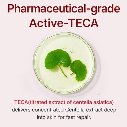 KOEC Cross-border Centella Asiatica HA Elastic Moisturizing Facial Cream,