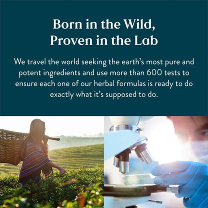 Metabolism Enhancing Herbal Supplements